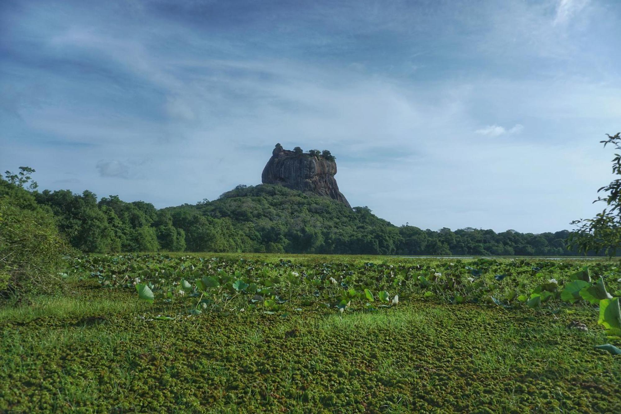 Sashini Homestay Sigiriya Luaran gambar